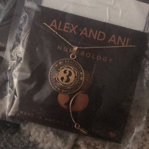 Alex and Ani Jewelry Alex And Ani Expandable Necklace Poshmark